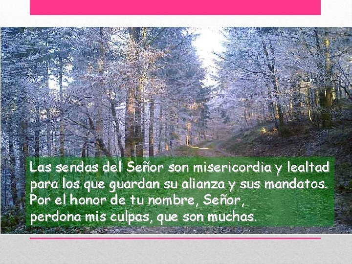 Las sendas del Señor son misericordia y lealtad para los que guardan su alianza