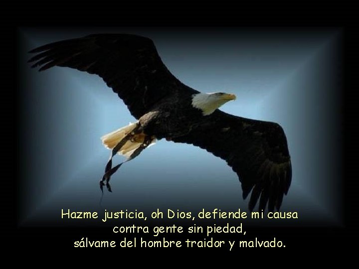 Hazme justicia, oh Dios, defiende mi causa contra gente sin piedad, sálvame del hombre