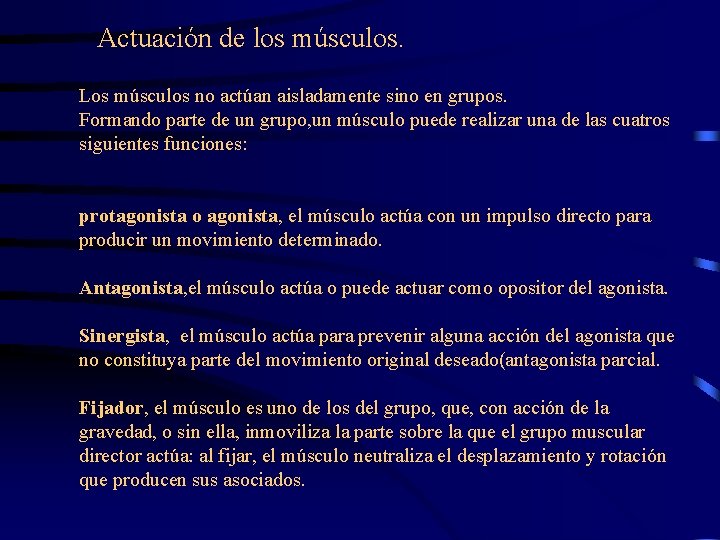 Actuación de los músculos. Los músculos no actúan aisladamente sino en grupos. Formando parte