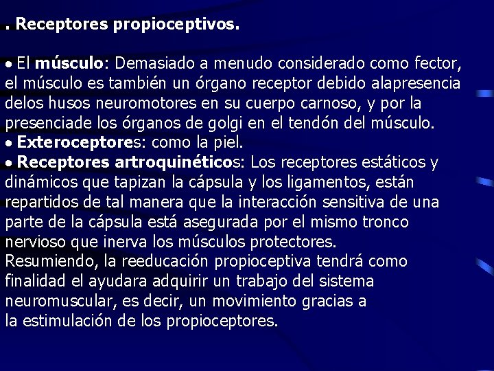 . Receptores propioceptivos. · El músculo: Demasiado a menudo considerado como fector, el músculo