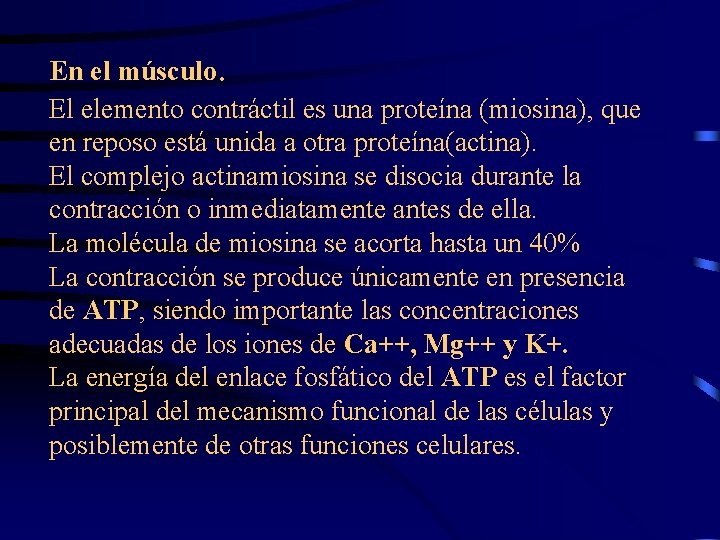 En el músculo. El elemento contráctil es una proteína (miosina), que en reposo está
