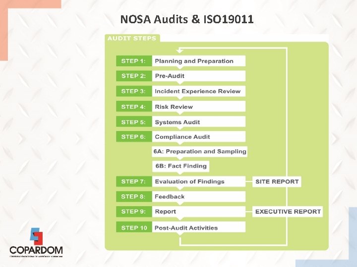 NOSA Audits & ISO 19011 