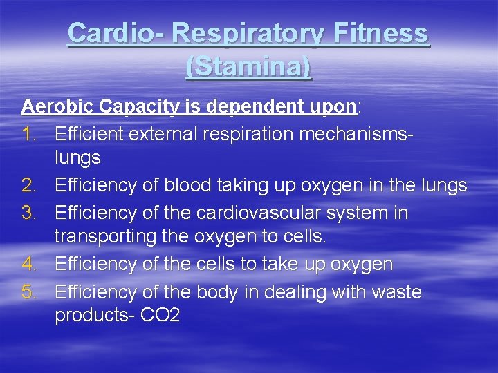 Cardio- Respiratory Fitness (Stamina) Aerobic Capacity is dependent upon: 1. Efficient external respiration mechanismslungs