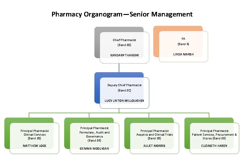 Pharmacy Organogram—Senior Management Chief Pharmacist (Band 8 D) PA (Band 4) KANDARP THAKKAR LINDA