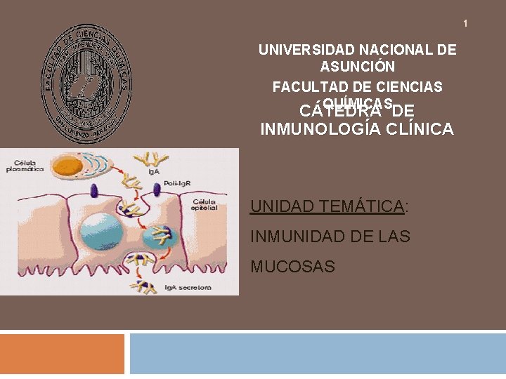 1 UNIVERSIDAD NACIONAL DE ASUNCIÓN FACULTAD DE CIENCIAS QUÍMICAS CÁTEDRA DE INMUNOLOGÍA CLÍNICA UNIDAD 1 UNIVERSIDAD NACIONAL DE ASUNCIÓN FACULTAD DE CIENCIAS QUÍMICAS CÁTEDRA DE INMUNOLOGÍA CLÍNICA UNIDAD