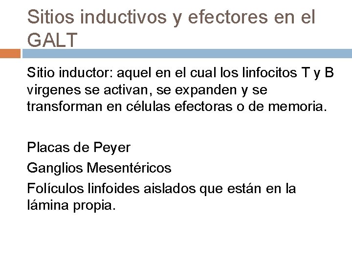 Sitios inductivos y efectores en el GALT Sitio inductor: aquel en el cual los Sitios inductivos y efectores en el GALT Sitio inductor: aquel en el cual los