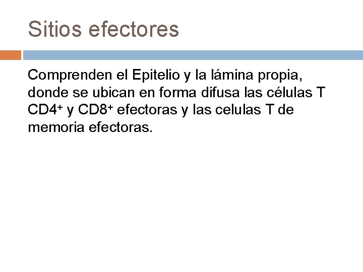 Sitios efectores Comprenden el Epitelio y la lámina propia, donde se ubican en forma Sitios efectores Comprenden el Epitelio y la lámina propia, donde se ubican en forma