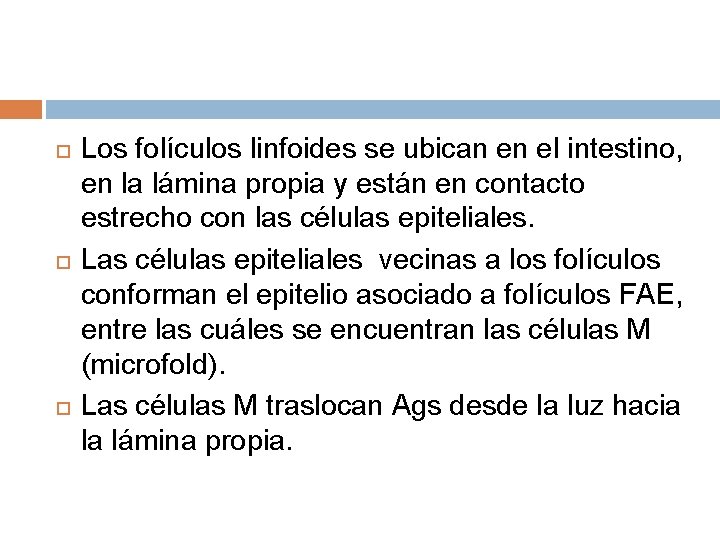 Los folículos linfoides se ubican en el intestino, en la lámina propia y Los folículos linfoides se ubican en el intestino, en la lámina propia y