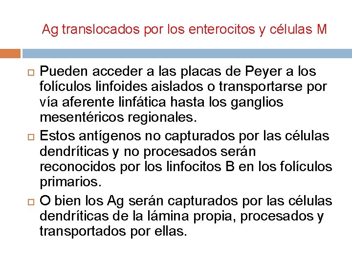 Ag translocados por los enterocitos y células M Pueden acceder a las placas de Ag translocados por los enterocitos y células M Pueden acceder a las placas de