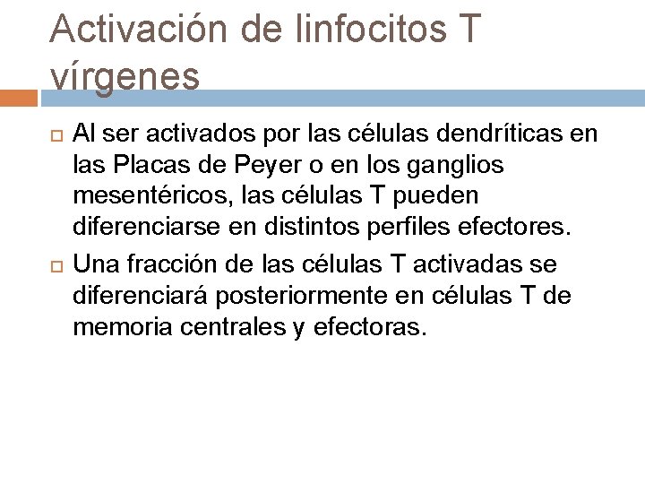 Activación de linfocitos T vírgenes Al ser activados por las células dendríticas en las Activación de linfocitos T vírgenes Al ser activados por las células dendríticas en las