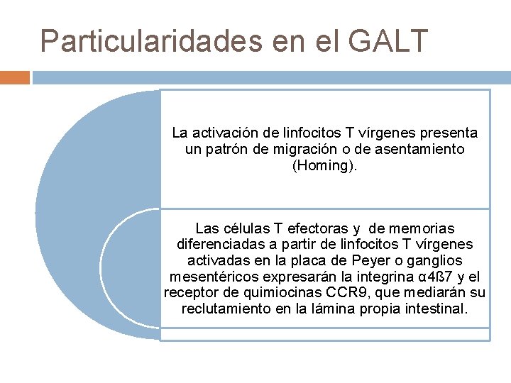 Particularidades en el GALT La activación de linfocitos T vírgenes presenta un patrón de Particularidades en el GALT La activación de linfocitos T vírgenes presenta un patrón de