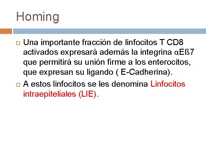 Homing Una importante fracción de linfocitos T CD 8 activados expresará además la integrina Homing Una importante fracción de linfocitos T CD 8 activados expresará además la integrina