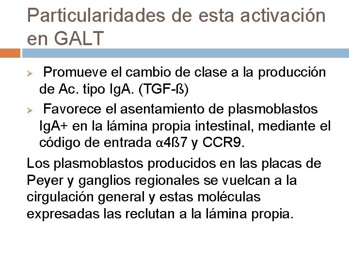 Particularidades de esta activación en GALT Promueve el cambio de clase a la producción Particularidades de esta activación en GALT Promueve el cambio de clase a la producción