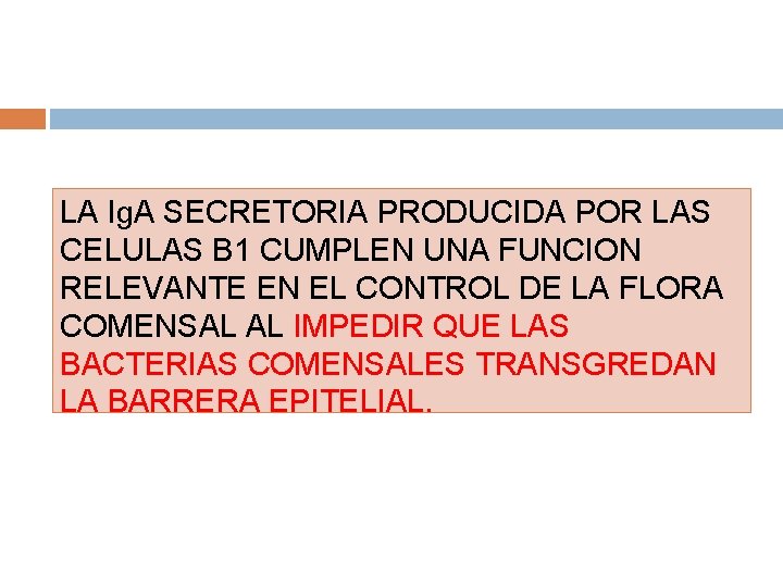 LA Ig. A SECRETORIA PRODUCIDA POR LAS CELULAS B 1 CUMPLEN UNA FUNCION RELEVANTE LA Ig. A SECRETORIA PRODUCIDA POR LAS CELULAS B 1 CUMPLEN UNA FUNCION RELEVANTE
