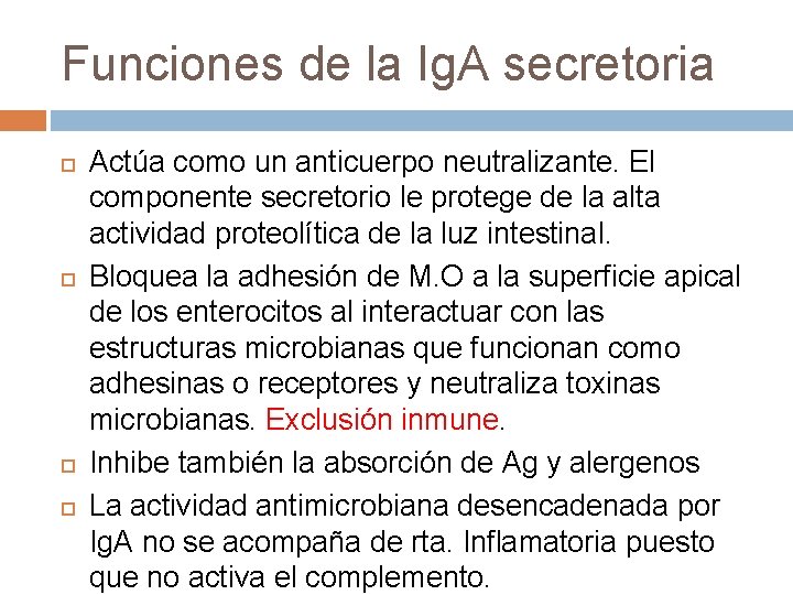 Funciones de la Ig. A secretoria Actúa como un anticuerpo neutralizante. El componente secretorio Funciones de la Ig. A secretoria Actúa como un anticuerpo neutralizante. El componente secretorio
