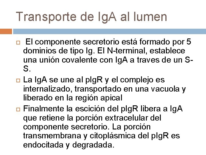 Transporte de Ig. A al lumen El componente secretorio está formado por 5 dominios Transporte de Ig. A al lumen El componente secretorio está formado por 5 dominios