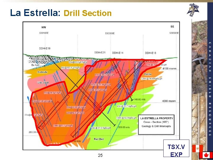 La Estrella: Drill Section 25 TSX. V EXP 