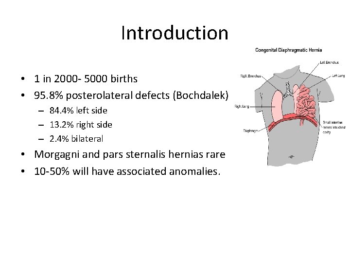 Introduction • 1 in 2000 - 5000 births • 95. 8% posterolateral defects (Bochdalek)