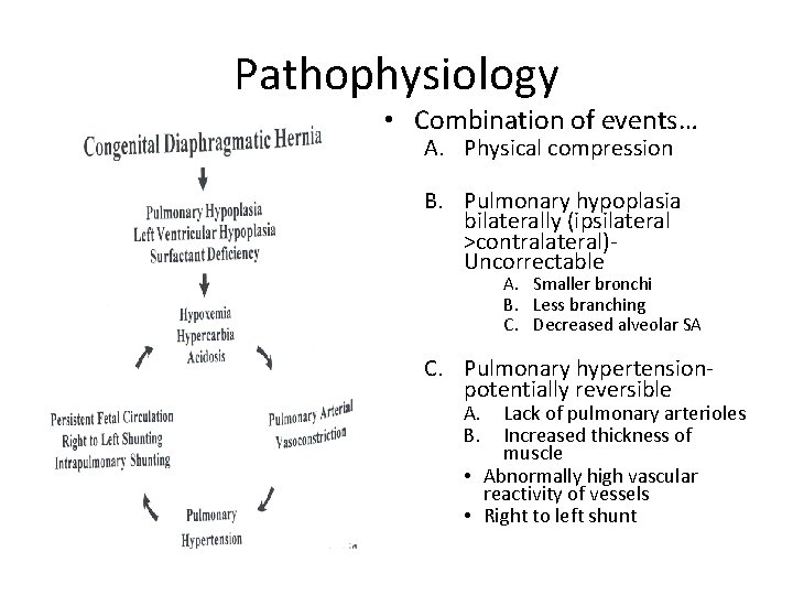 Pathophysiology • Combination of events… A. Physical compression B. Pulmonary hypoplasia bilaterally (ipsilateral >contralateral)Uncorrectable