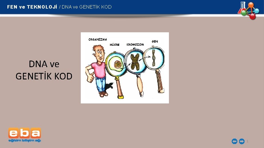 FEN ve TEKNOLOJİ / DNA ve GENETİK KOD 1 