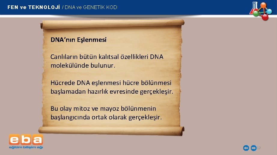 FEN ve TEKNOLOJİ / DNA ve GENETİK KOD DNA’nın Eşlenmesi Canlıların bütün kalıtsal özellikleri