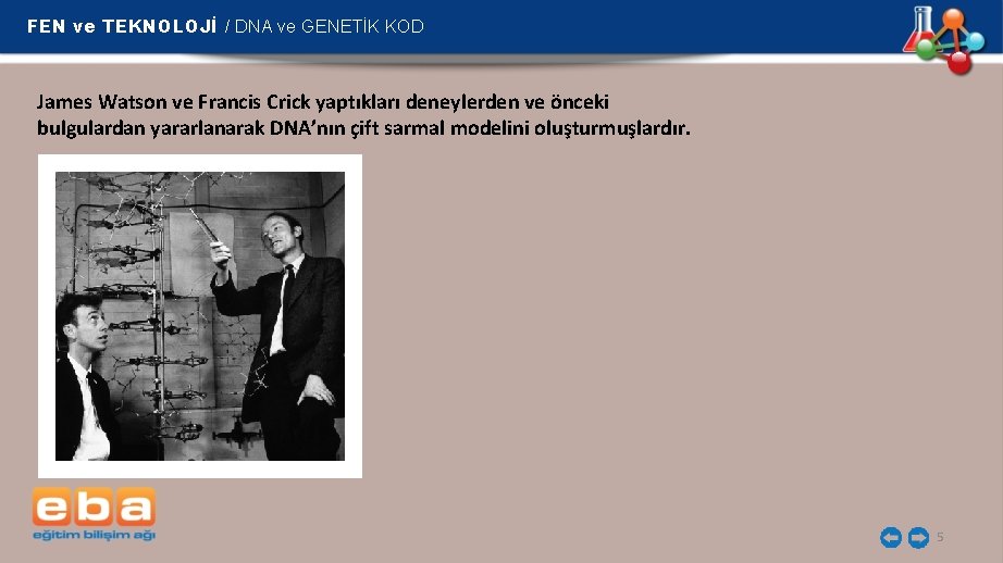FEN ve TEKNOLOJİ / DNA ve GENETİK KOD James Watson ve Francis Crick yaptıkları