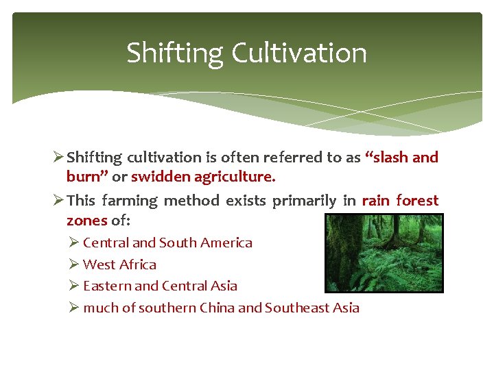 Shifting Cultivation Ø Shifting cultivation is often referred to as “slash and burn” or Shifting Cultivation Ø Shifting cultivation is often referred to as “slash and burn” or