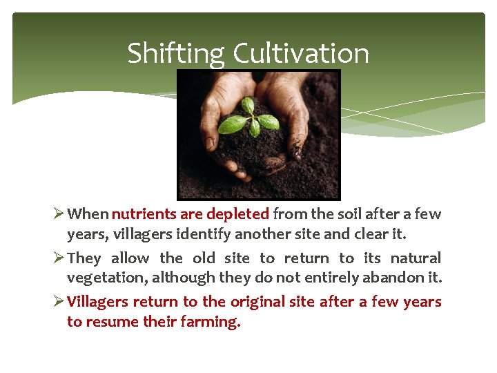 Shifting Cultivation Ø When nutrients are depleted from the soil after a few years, Shifting Cultivation Ø When nutrients are depleted from the soil after a few years,