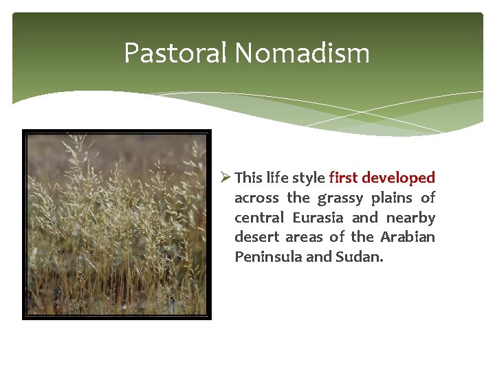 Pastoral Nomadism Ø This life style first developed across the grassy plains of central Pastoral Nomadism Ø This life style first developed across the grassy plains of central