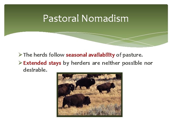 Pastoral Nomadism Ø The herds follow seasonal availability of pasture. Ø Extended stays by Pastoral Nomadism Ø The herds follow seasonal availability of pasture. Ø Extended stays by