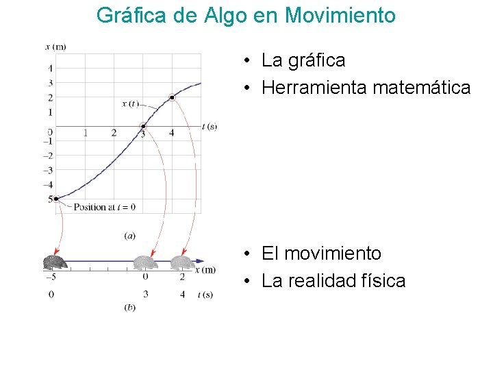 Gráfica de Algo en Movimiento • La gráfica • Herramienta matemática • El movimiento Gráfica de Algo en Movimiento • La gráfica • Herramienta matemática • El movimiento