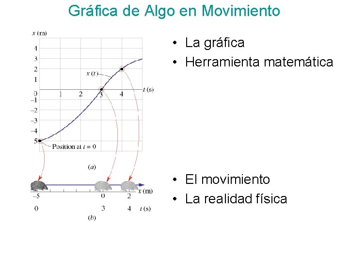 Gráfica de Algo en Movimiento • La gráfica • Herramienta matemática • El movimiento