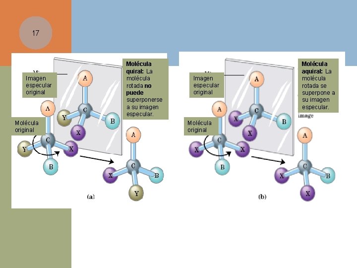 17 Imagen especular original Molécula quiral: La molécula rotada no puede superponerse a su