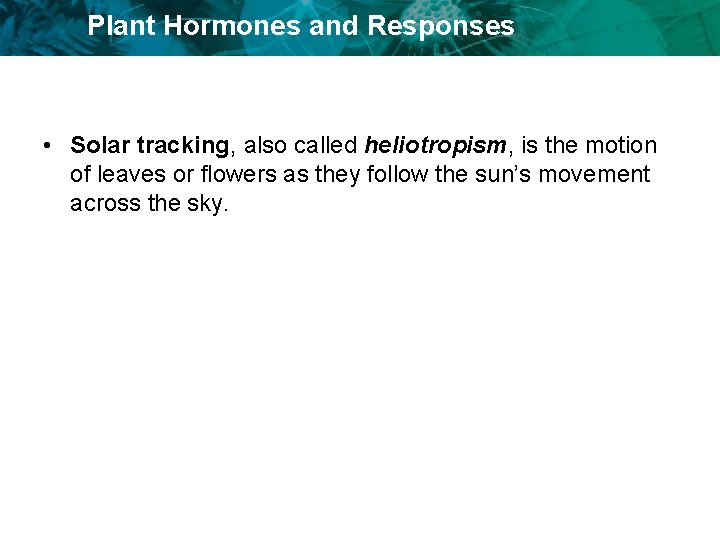 Plant Hormones and Responses • Solar tracking, also called heliotropism, is the motion of