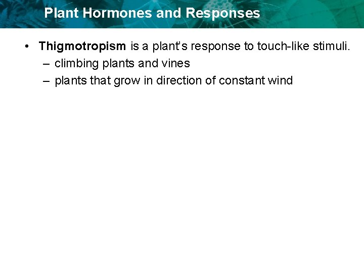 Plant Hormones and Responses • Thigmotropism is a plant’s response to touch-like stimuli. –