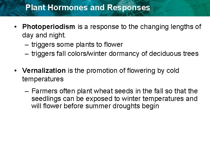 Plant Hormones and Responses • Photoperiodism is a response to the changing lengths of