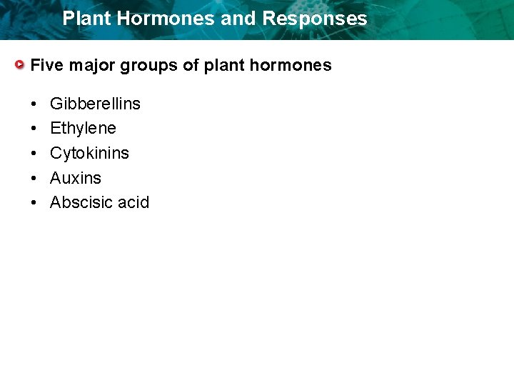 Plant Hormones and Responses Five major groups of plant hormones • • • Gibberellins