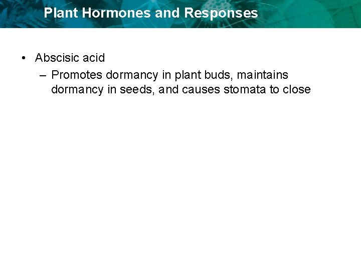 Plant Hormones and Responses • Abscisic acid – Promotes dormancy in plant buds, maintains
