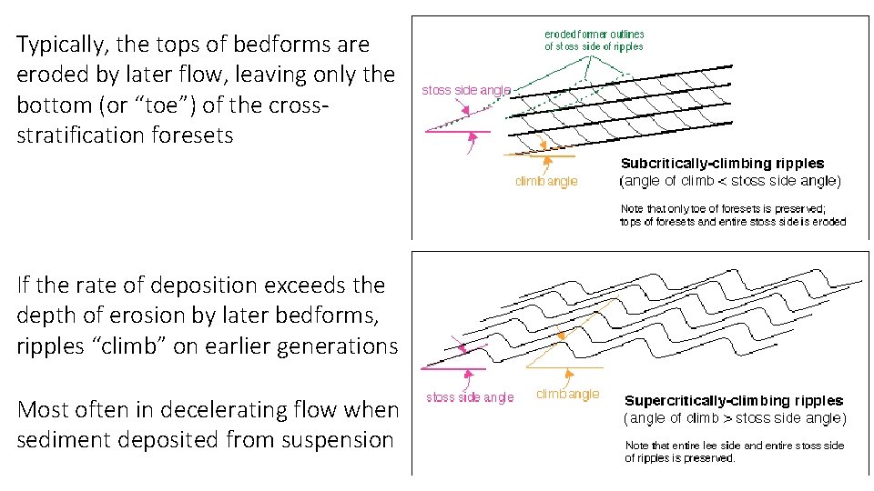 Typically, the tops of bedforms are eroded by later flow, leaving only the bottom
