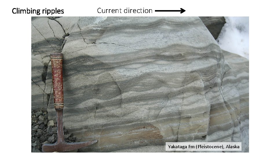 Climbing ripples Current direction Yakataga Fm (Pleistocene), Alaska 