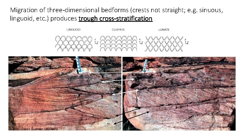 Migration of three-dimensional bedforms (crests not straight; e. g. sinuous, linguoid, etc. ) produces