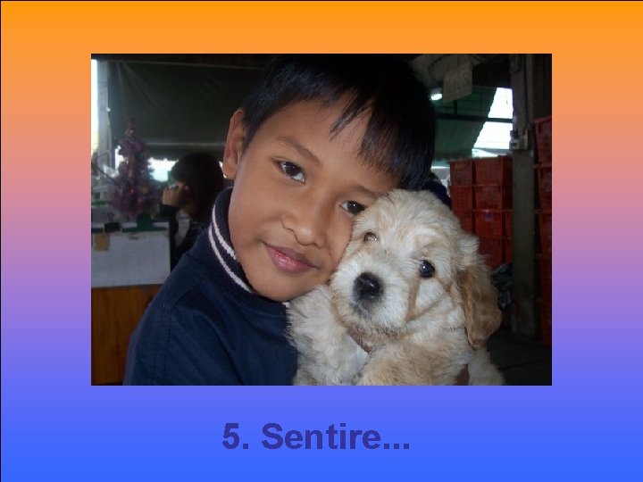 5. Sentire. . . 