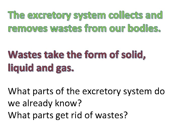 The Excretory System What would happen if our