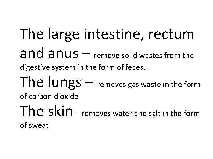 The large intestine, rectum and anus – remove solid wastes from the digestive system