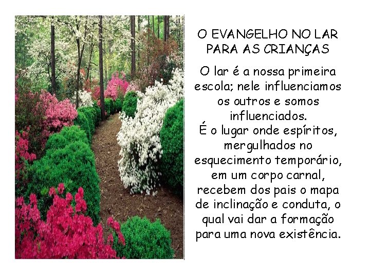 O EVANGELHO NO LAR PARA AS CRIANÇAS O lar é a nossa primeira escola; O EVANGELHO NO LAR PARA AS CRIANÇAS O lar é a nossa primeira escola;
