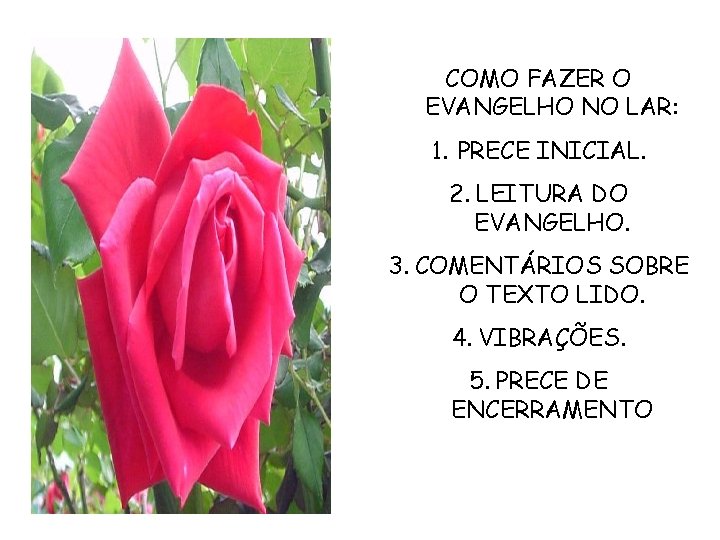 COMO FAZER O EVANGELHO NO LAR: 1. PRECE INICIAL. 2. LEITURA DO EVANGELHO. 3. COMO FAZER O EVANGELHO NO LAR: 1. PRECE INICIAL. 2. LEITURA DO EVANGELHO. 3.
