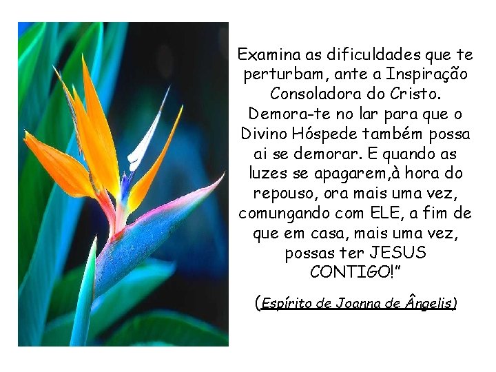 Examina as dificuldades que te perturbam, ante a Inspiração Consoladora do Cristo. Demora-te no Examina as dificuldades que te perturbam, ante a Inspiração Consoladora do Cristo. Demora-te no