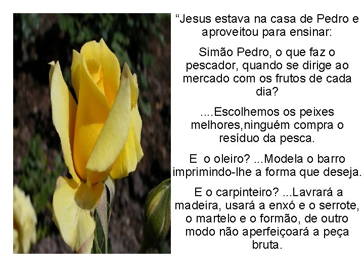 “Jesus estava na casa de Pedro e aproveitou para ensinar: Simão Pedro, o que “Jesus estava na casa de Pedro e aproveitou para ensinar: Simão Pedro, o que