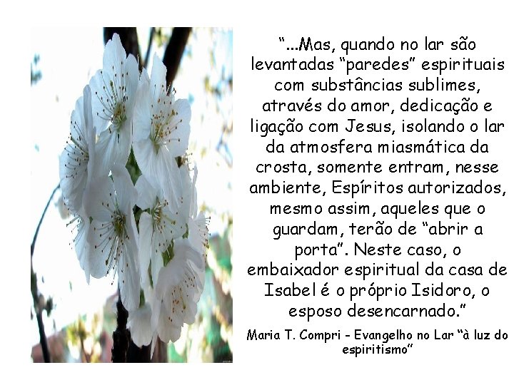 “. . . Mas, quando no lar são levantadas “paredes” espirituais com substâncias sublimes, “. . . Mas, quando no lar são levantadas “paredes” espirituais com substâncias sublimes,