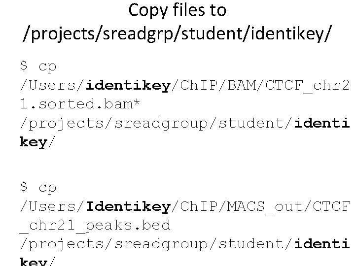 Copy files to /projects/sreadgrp/student/identikey/ $ cp /Users/identikey/Ch. IP/BAM/CTCF_chr 2 1. sorted. bam* /projects/sreadgroup/student/identi key/